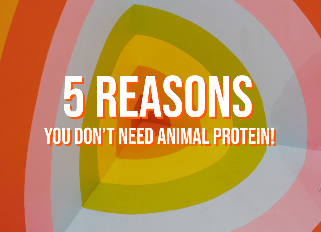 5 Reasons You Don’t Need Animal Protein
