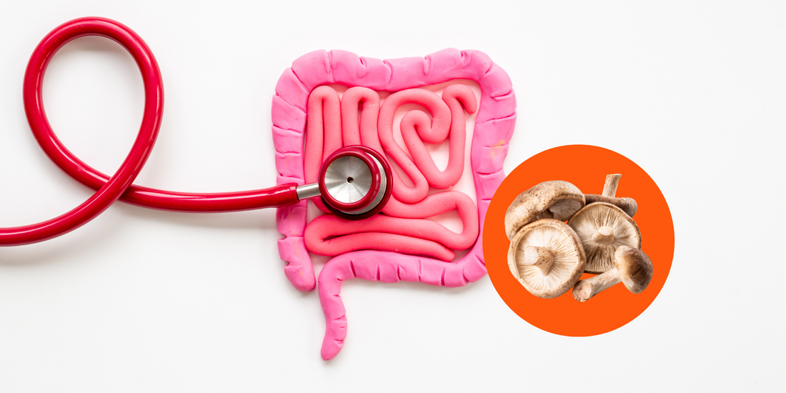 The Gut-Friendly Protein You Need to Include in Your Weekly Meal Planning