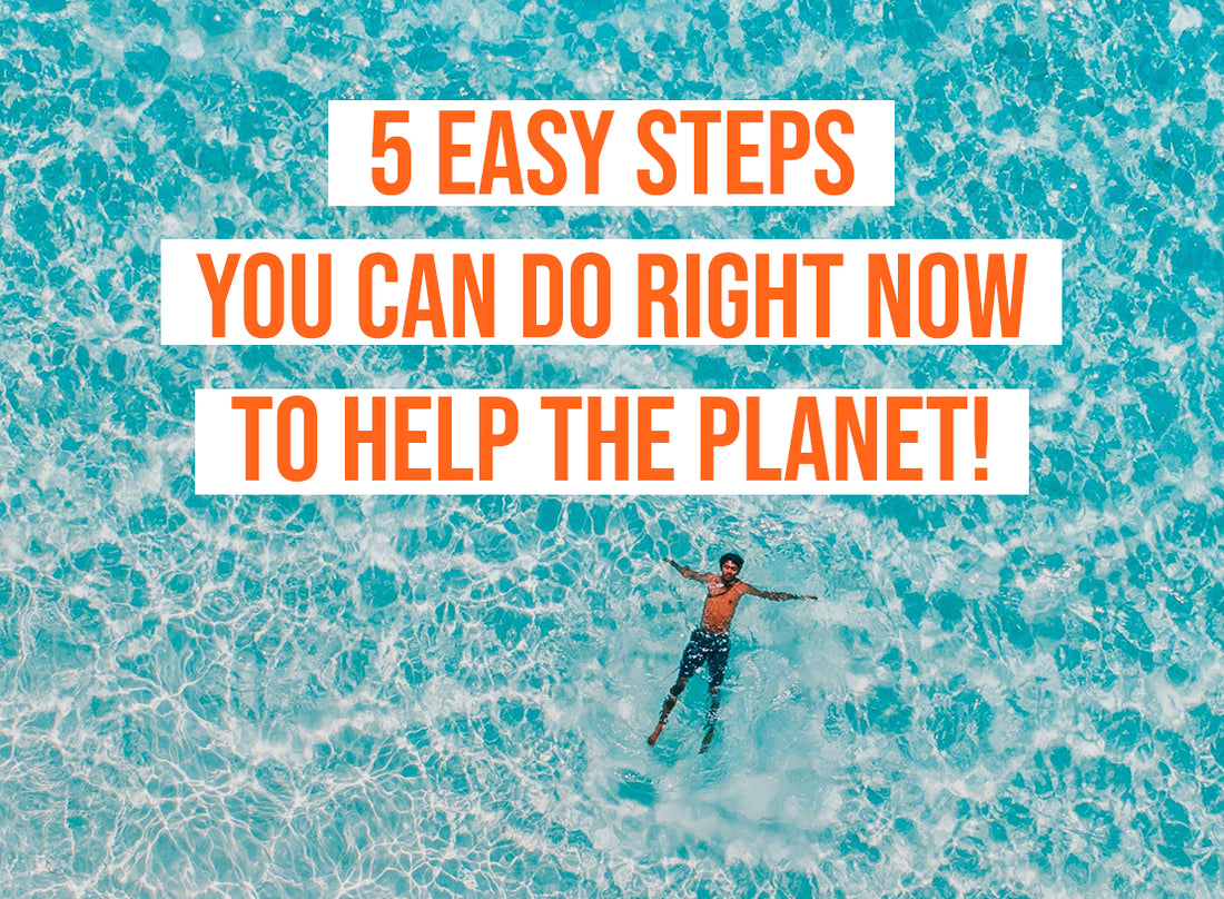 5 Easy Steps You Can Do Right Now to Help the Planet!