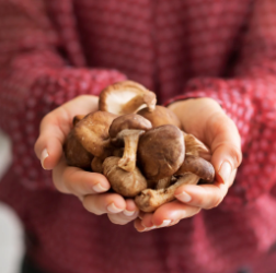 Celebrate Earth Day using Mushrooms